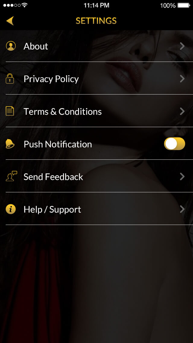 Chat Screen UI in OkCupid Clone