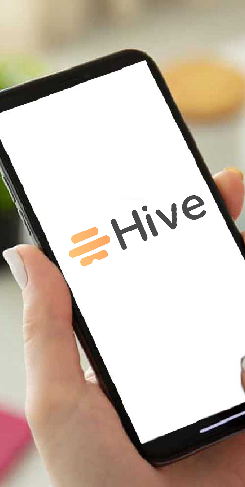 Hive clone group chat and social interaction