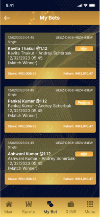 BetNFlix betting app showing user wallet and transaction details